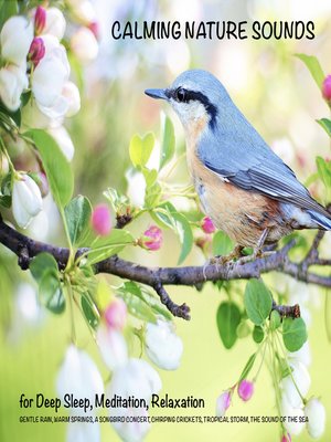 cover image of Calming Nature Sounds (without music) for Deep Sleep, Meditation, Relaxation